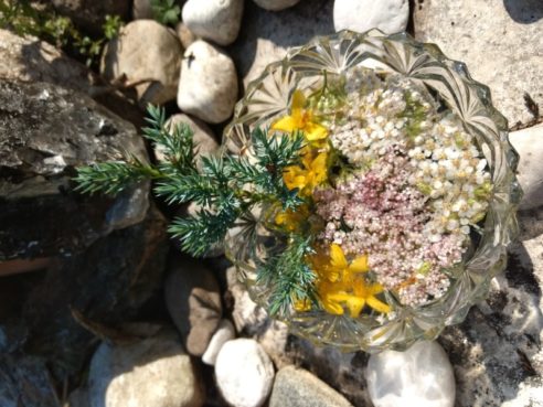 Blütenessenz Ahnenkraft familiäre Wurzeln