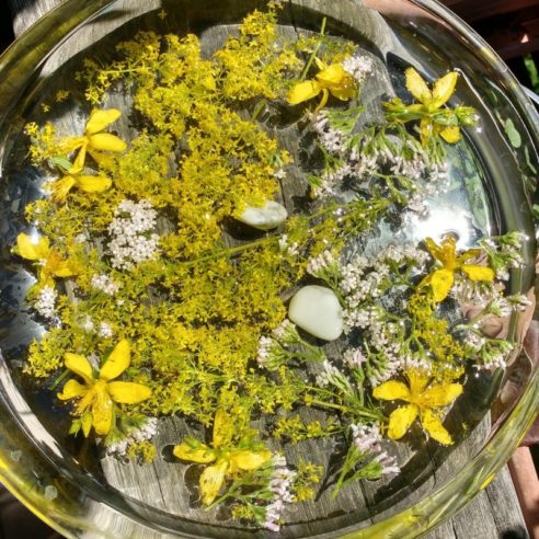 Blütenessenz Selbstliebe