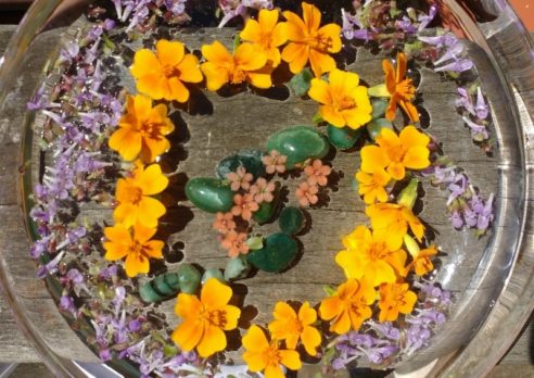 Blütenessenz Transformation Wut