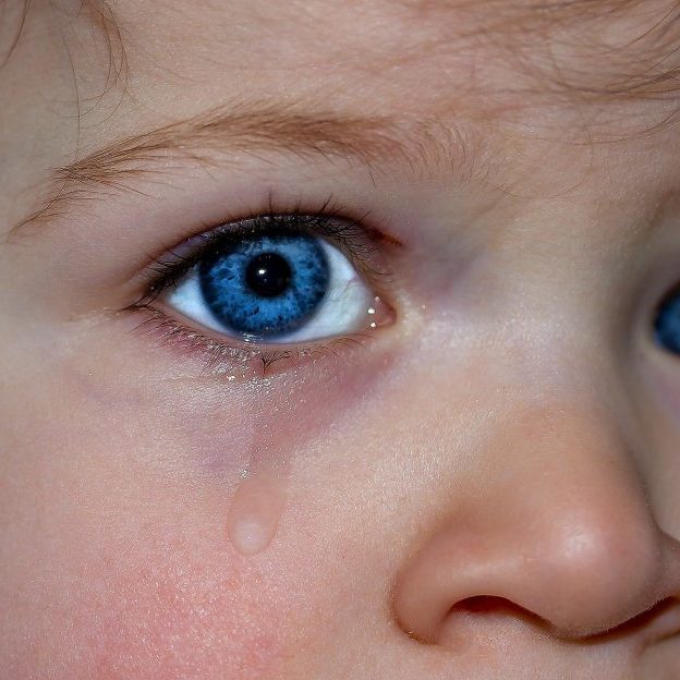 Traumatisierte Kinder Traumatisierte Kinder
